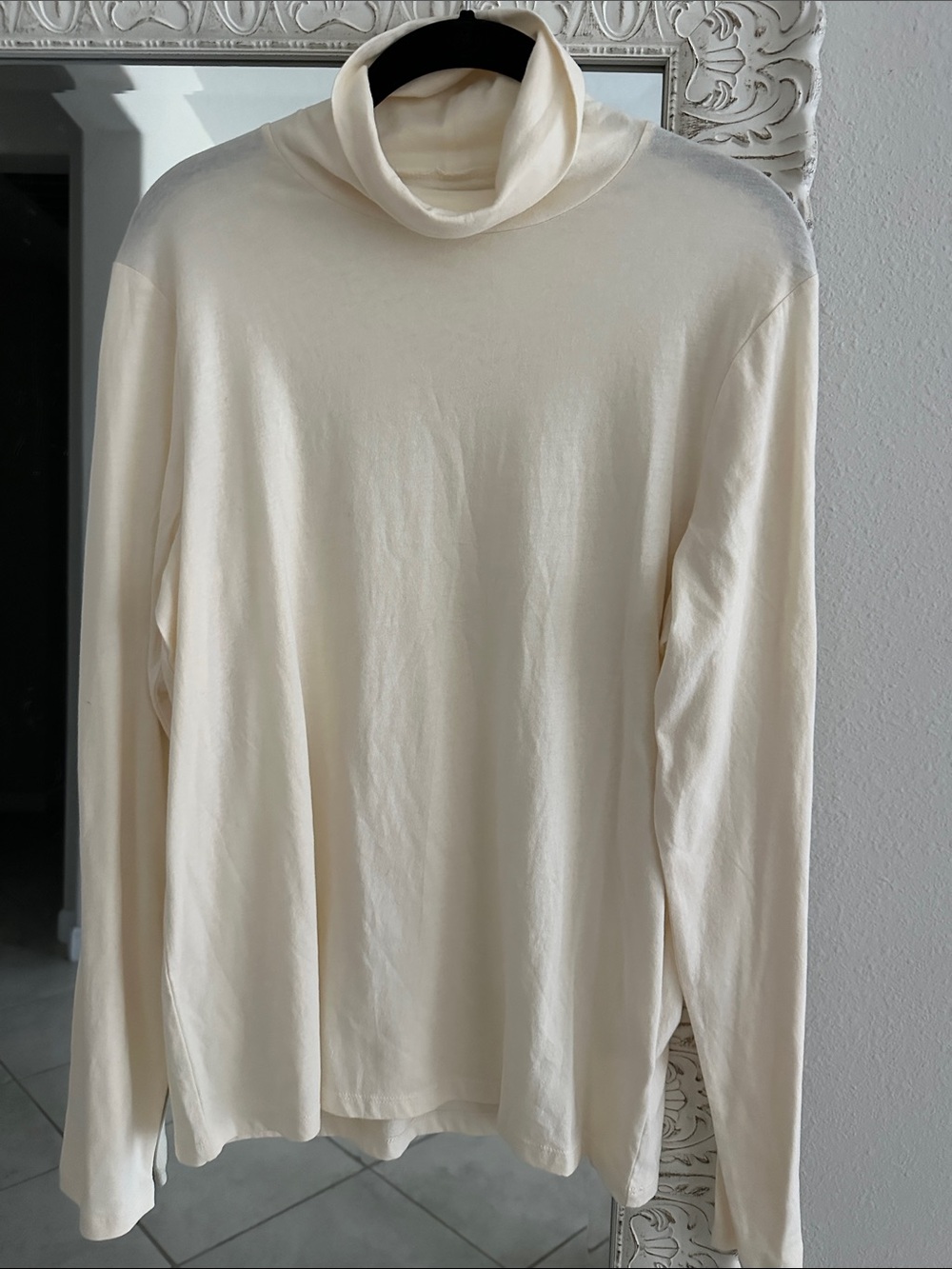 Everlane Cream Turtleneck Top